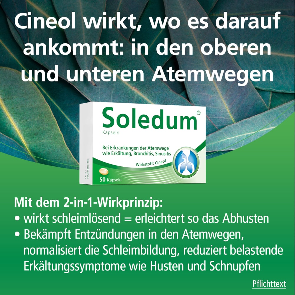 Soledum 100mg 50 St Kapseln magensaftresistent