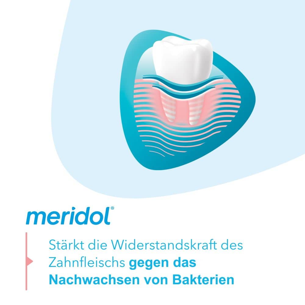 meridol ZAHNFLEISCHSCHUTZ Zahnpasta bei Zahnentzündungen 75 ml Zahnpasta