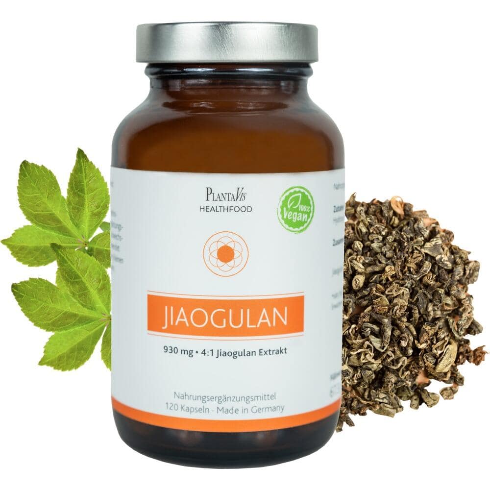 Jiaogulan Extrakt 930 mg 120 St Kapseln