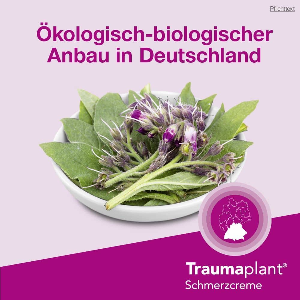 Traumaplant Schmerzcreme 50 g Creme