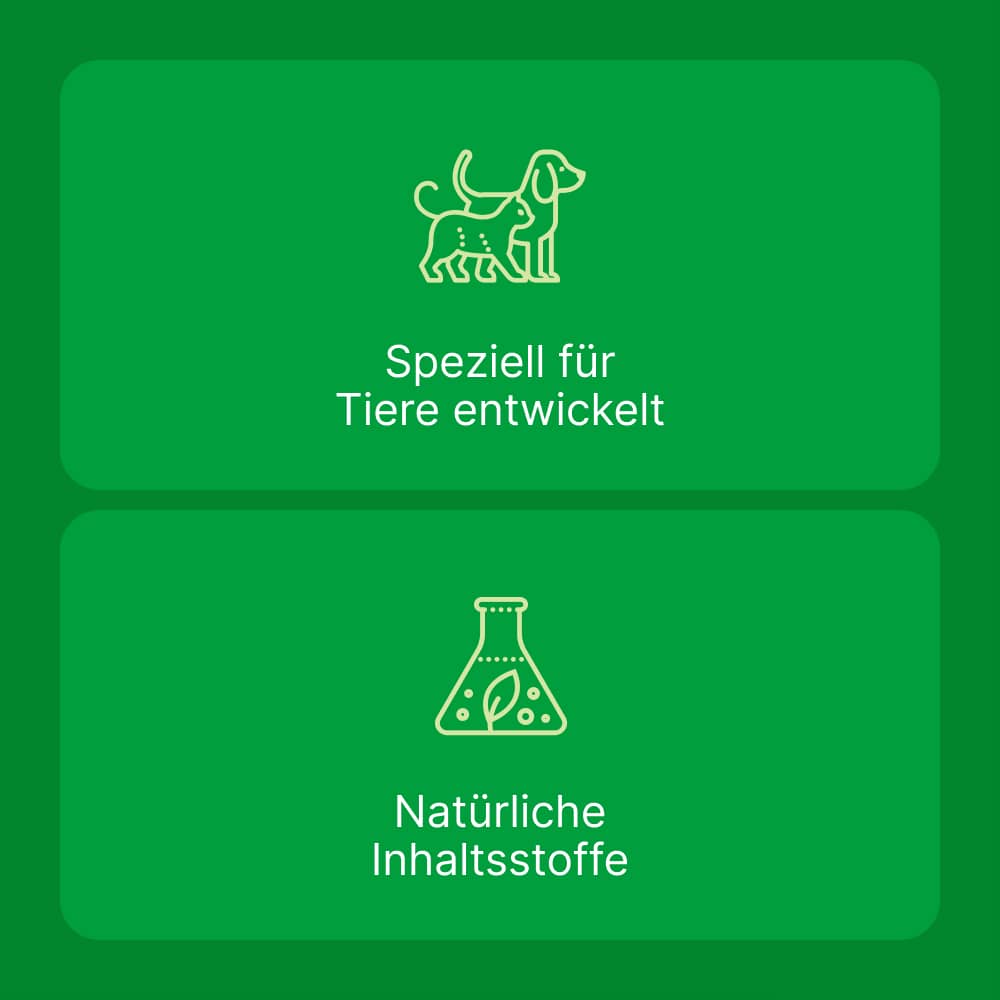 Zeel ad us. vet.  500 St Tabletten