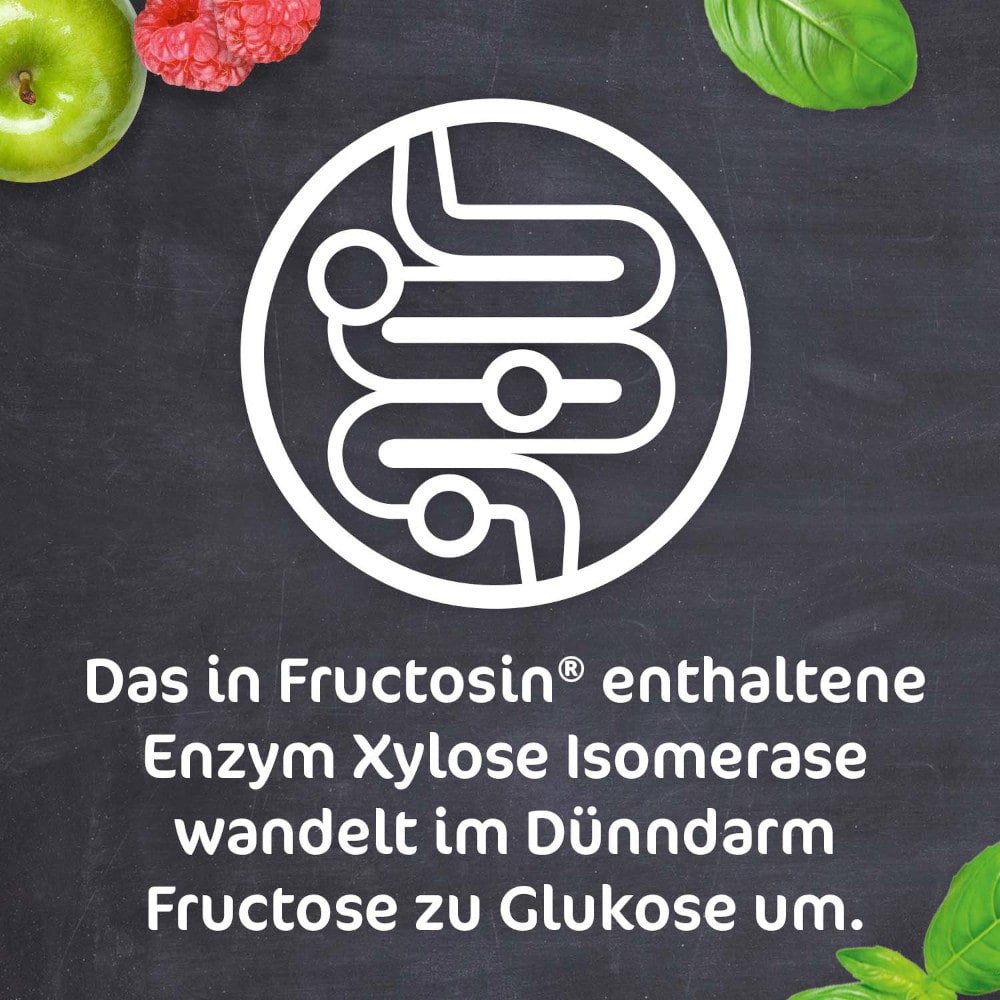FRUCTOSIN 90 St Kapseln