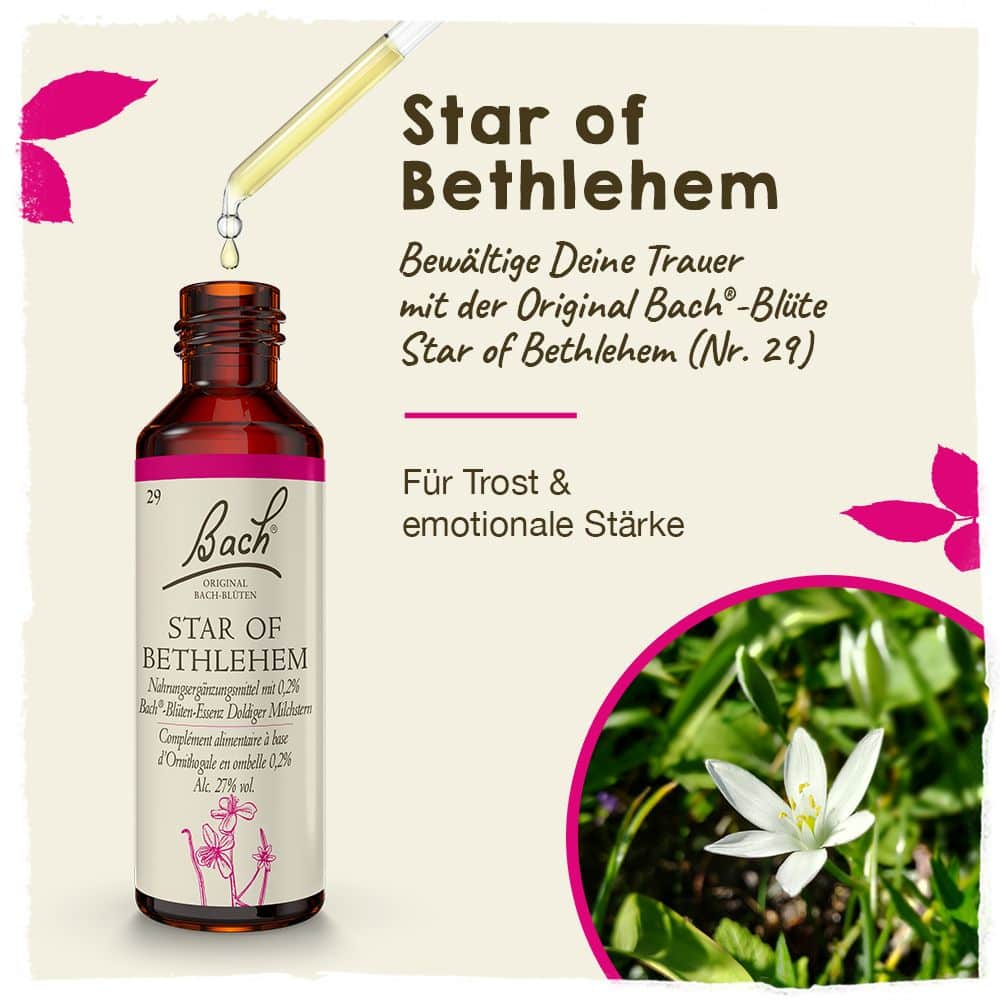 BACHBLÜTEN Original Star of Bethlehem Nr. 29 20 ml Tropfen