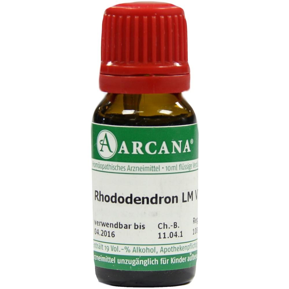 RHODODENDRON LM 6 Dilution 10 ml Dilution