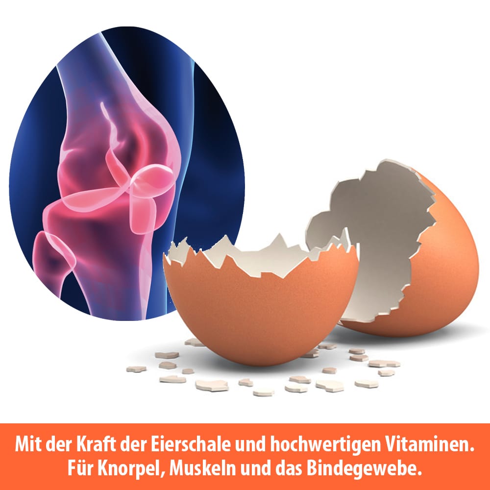 ARTHROSAN ovoaktiv Eierschalenmembran Kapseln 90 St Kapseln