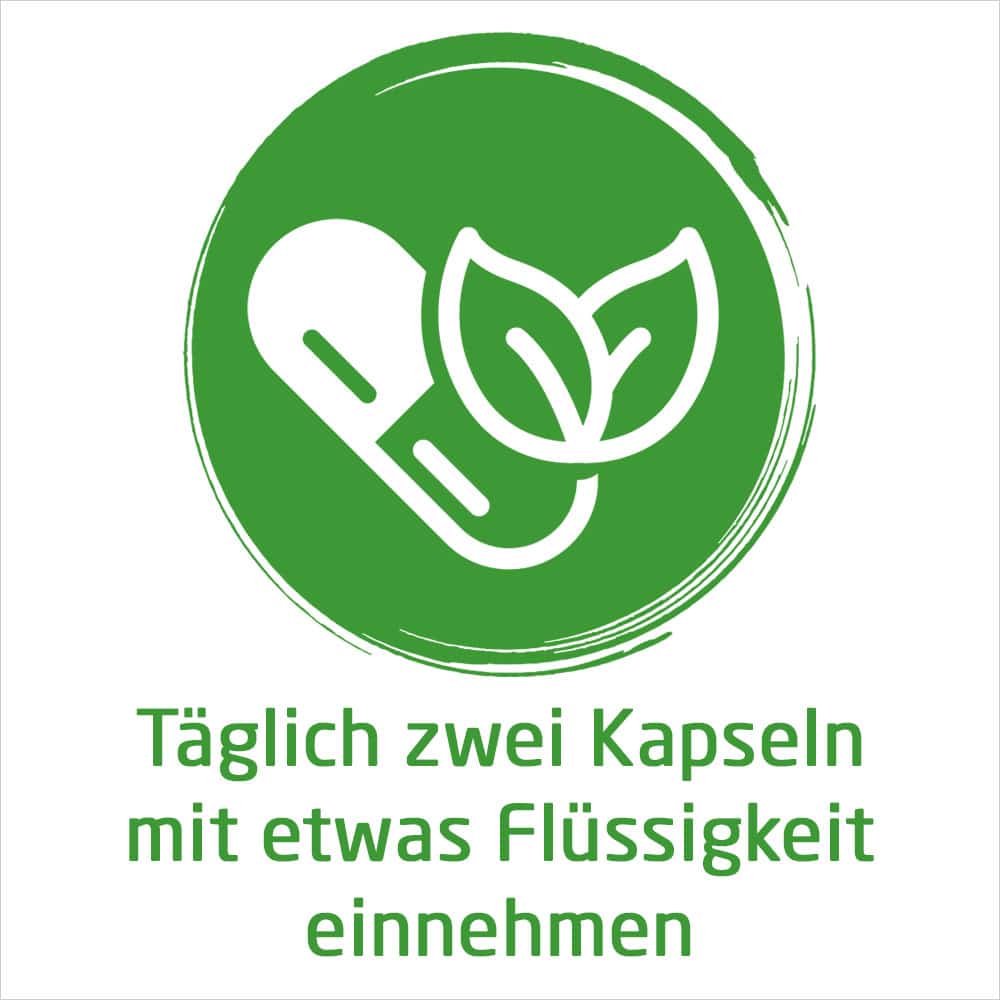 WELEDA NATURWEISHEIT Meine Vitalquelle 46 St Kapseln