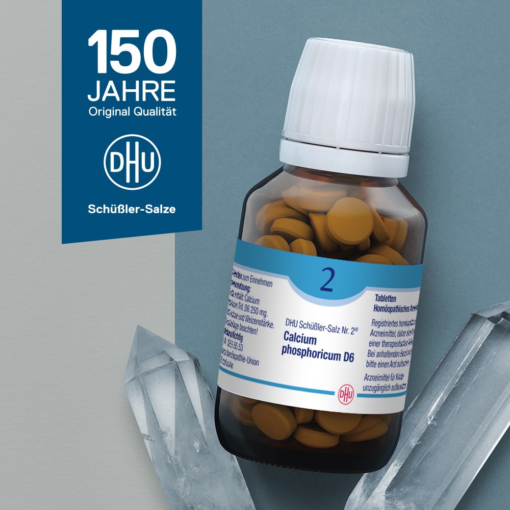 DHU Schüßler-Salz Nr. 2 Calcium phosphoricum D6 420 St Tabletten