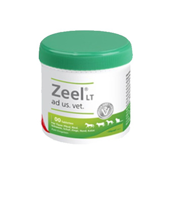 Zeel ad us. vet. 100 St Tabletten