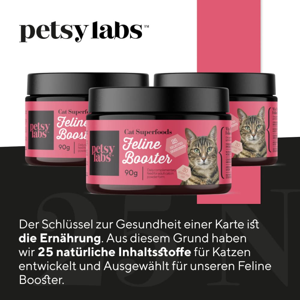 FELINE BOOSTER FUER KATZEN