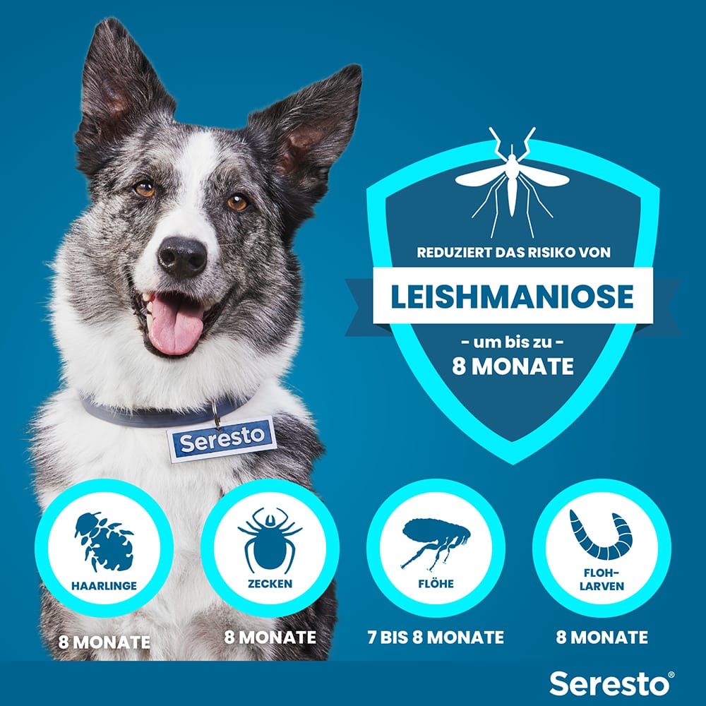 Seresto Halsband für große Hunde ab 8 kg 1 St Halsband