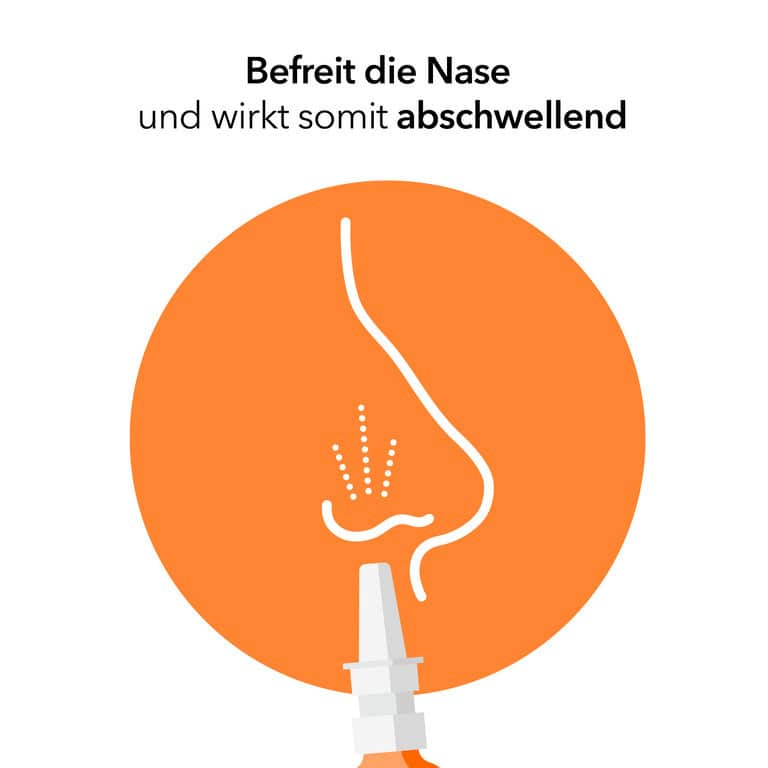 NasenSpray-ratiopharm Kinder zwischen 2 und 6 Jahren 10 ml Nasenspray