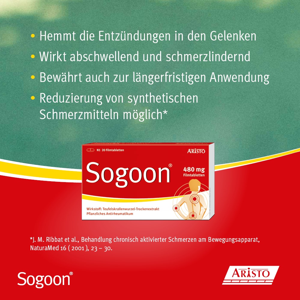 Sogoon 480 mg 200 St Filmtabletten