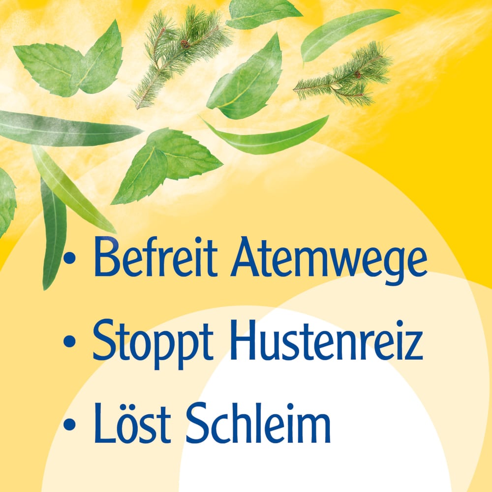 Pinimenthol Erkältungssalbe ab 12 Jahren - mit Eucalyptusöl, Kiefernnadelöl und Menthol 100 g Creme