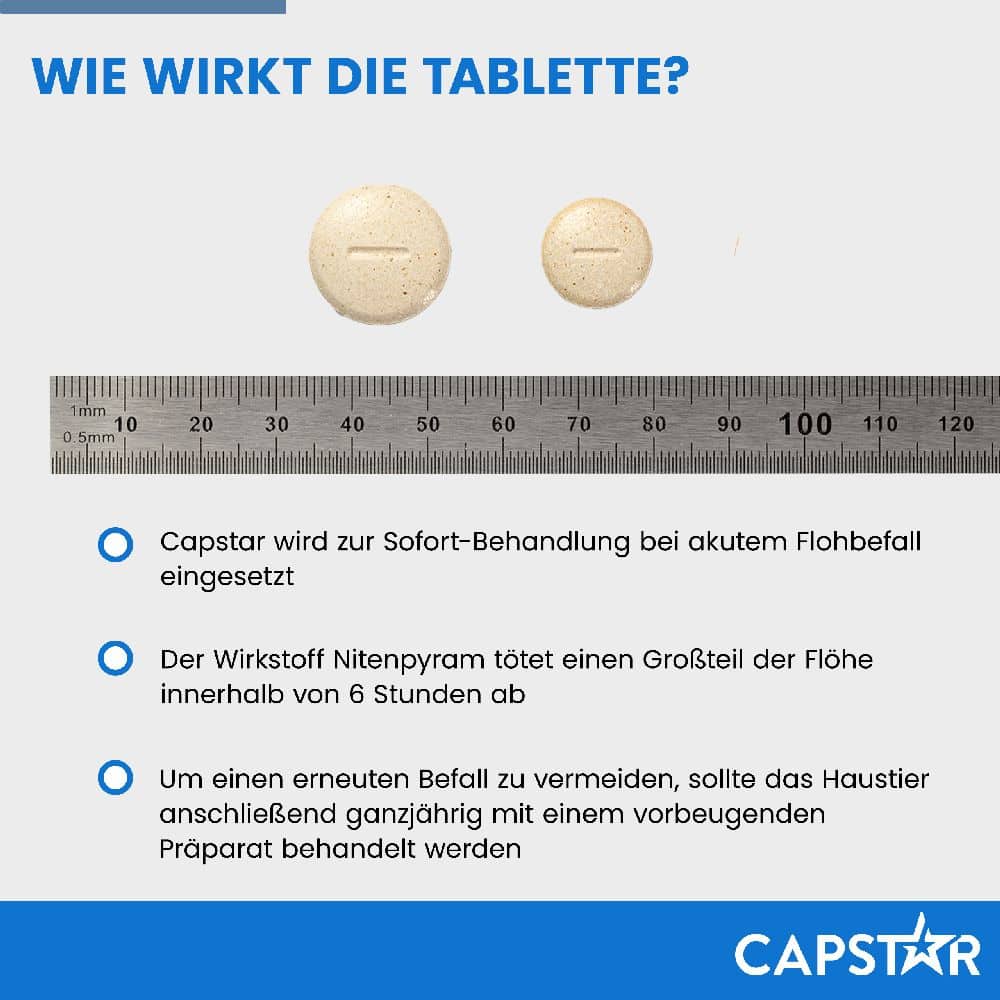 CAPSTAR 11,4 mg für Katzen und kleine Hunde 6 St Tabletten