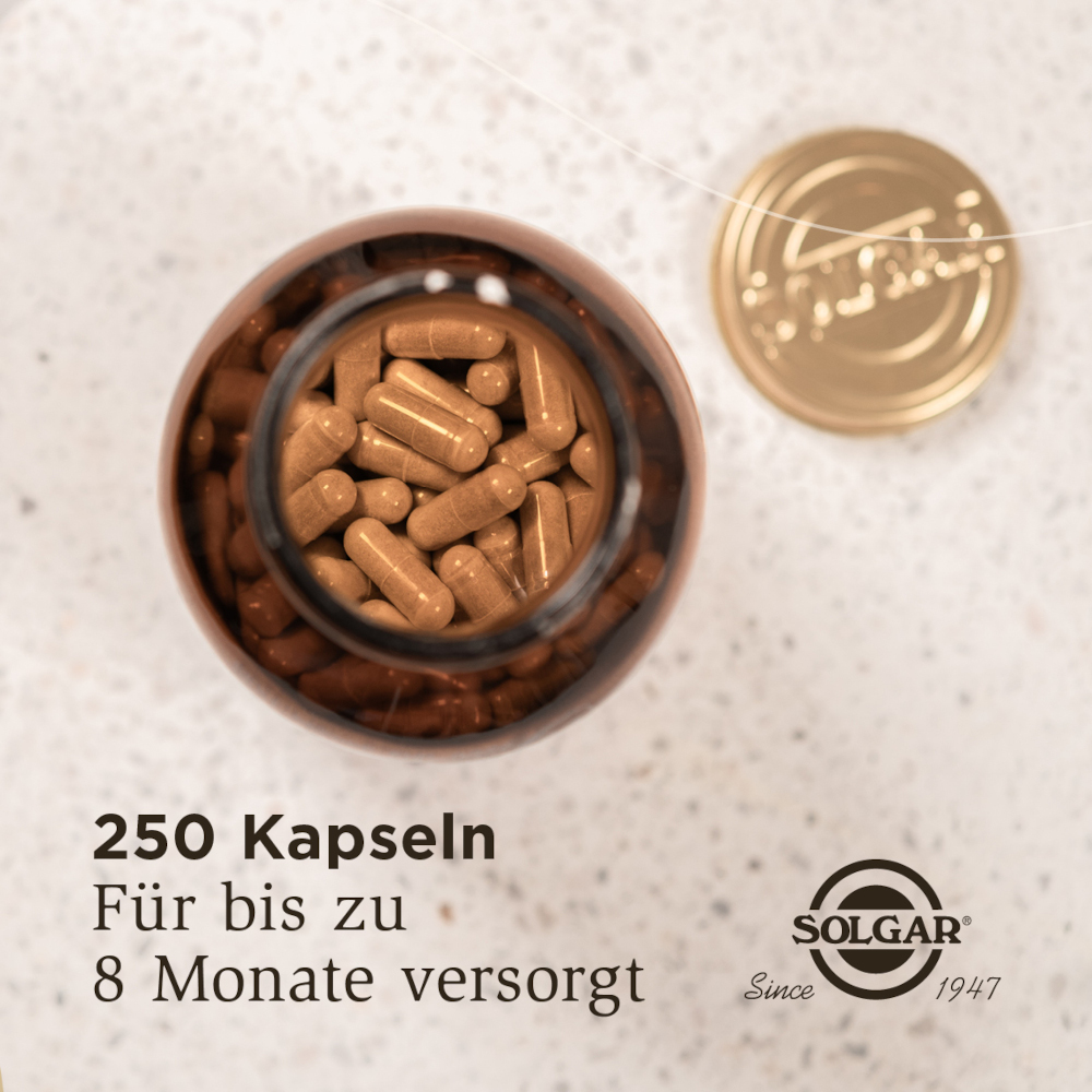 SOLGAR ESTER-C PLUS 500MG VITAMIN C-KOMPLEX 250 St Kapseln