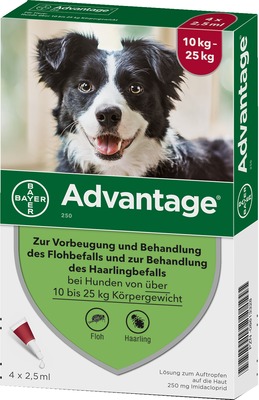 Advantage 250 Lösung für Hunde 10-25 kg 4 St Lösung