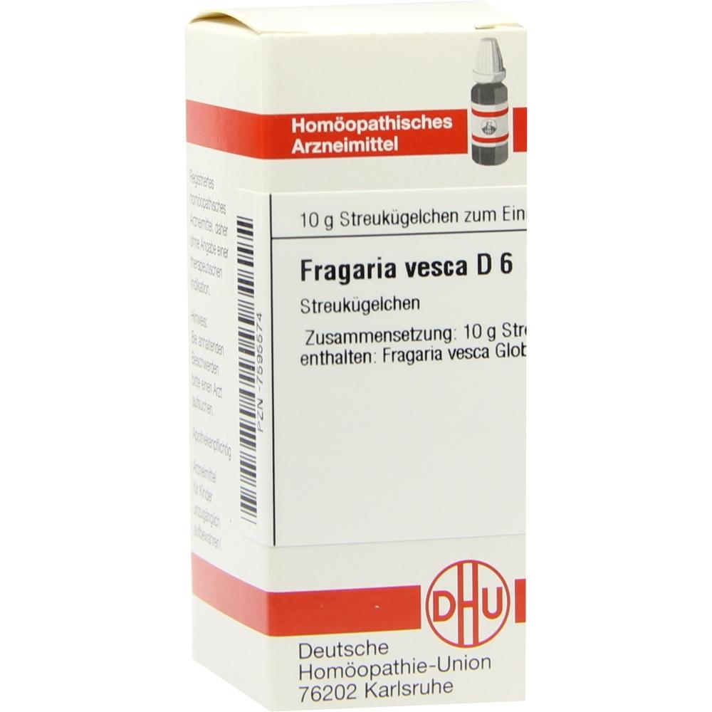 FRAGARIA VESCA D 6 Globuli 10 g Globuli