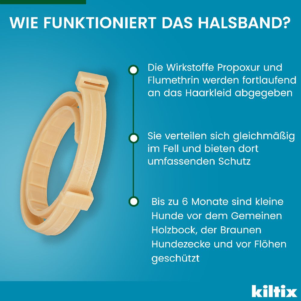 KILTIX Halsband für kleine Hunde 1 St Halsband