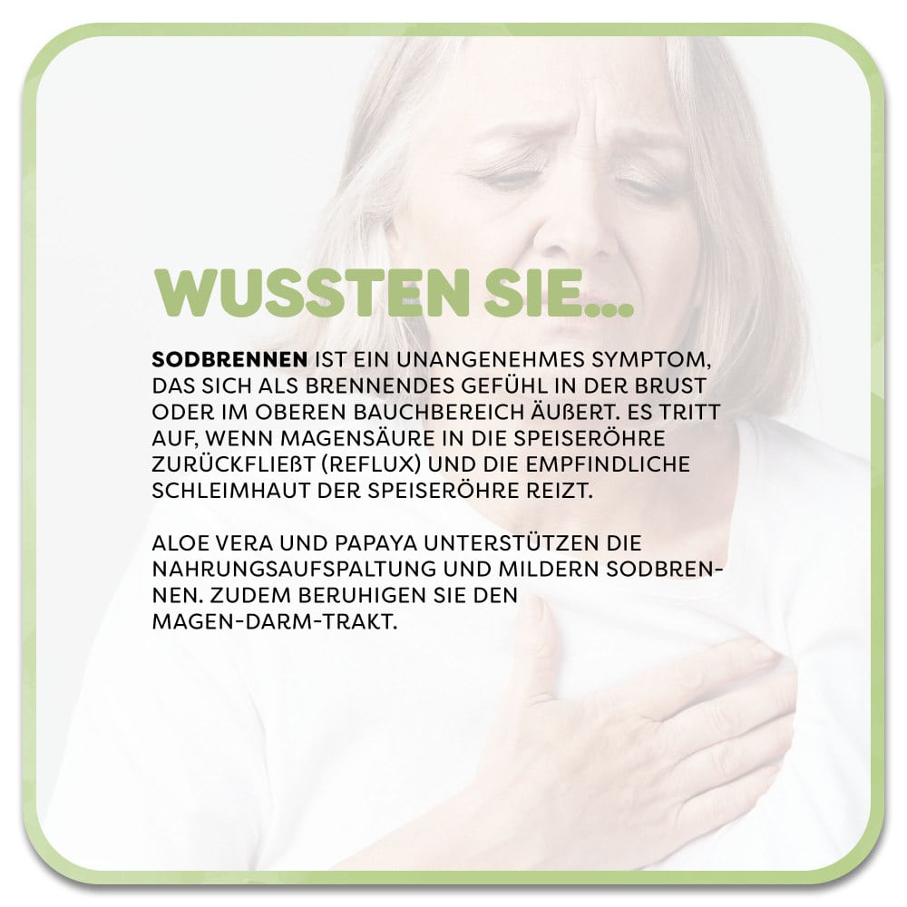 Casa Sana ALOEpapaya 500 ml Flüssigkeit zum Einnehmen