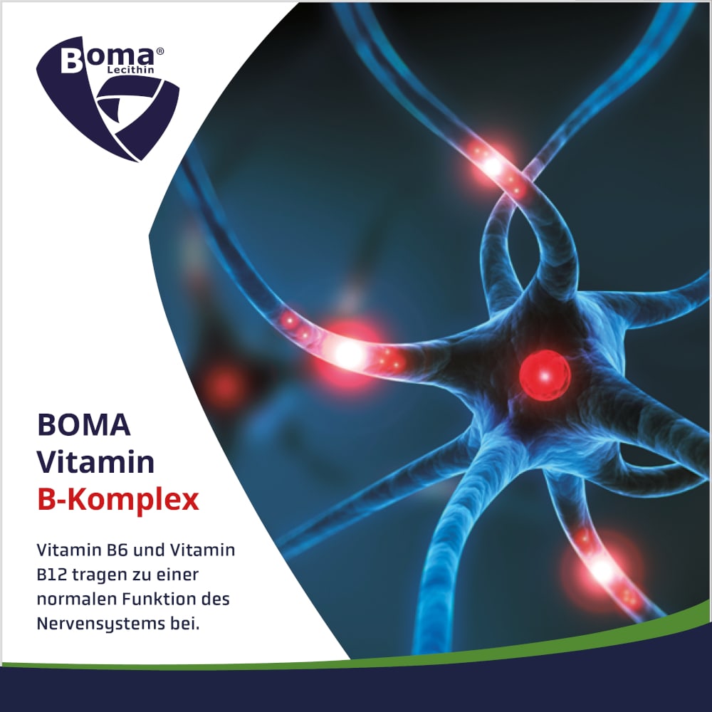 VITAMIN B Komplex Kapseln 120 St Kapseln VITAMIN B Komplex Kapseln 120 St Kapseln