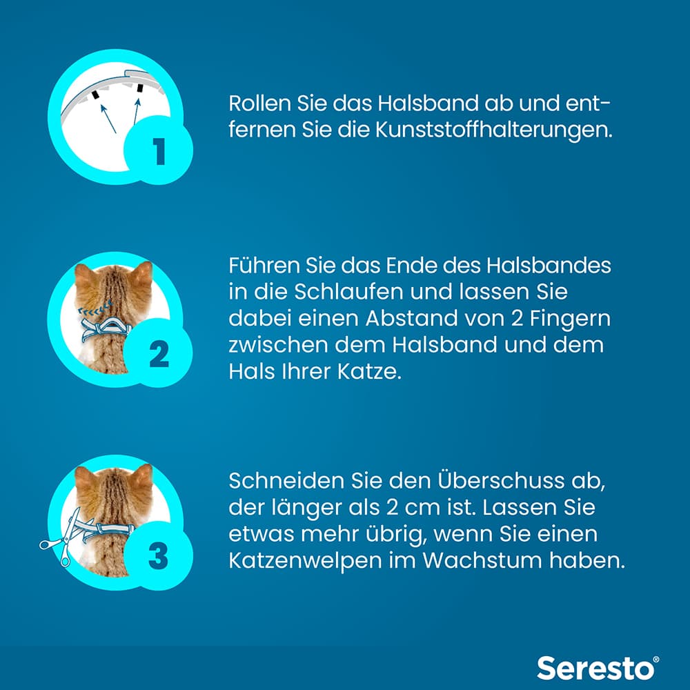 Seresto Halsband für Katzen 1 St Halsband