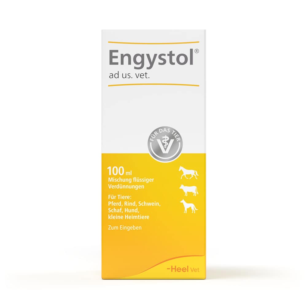 Engystol ad us. vet. Tropfen 100 ml Tropfen