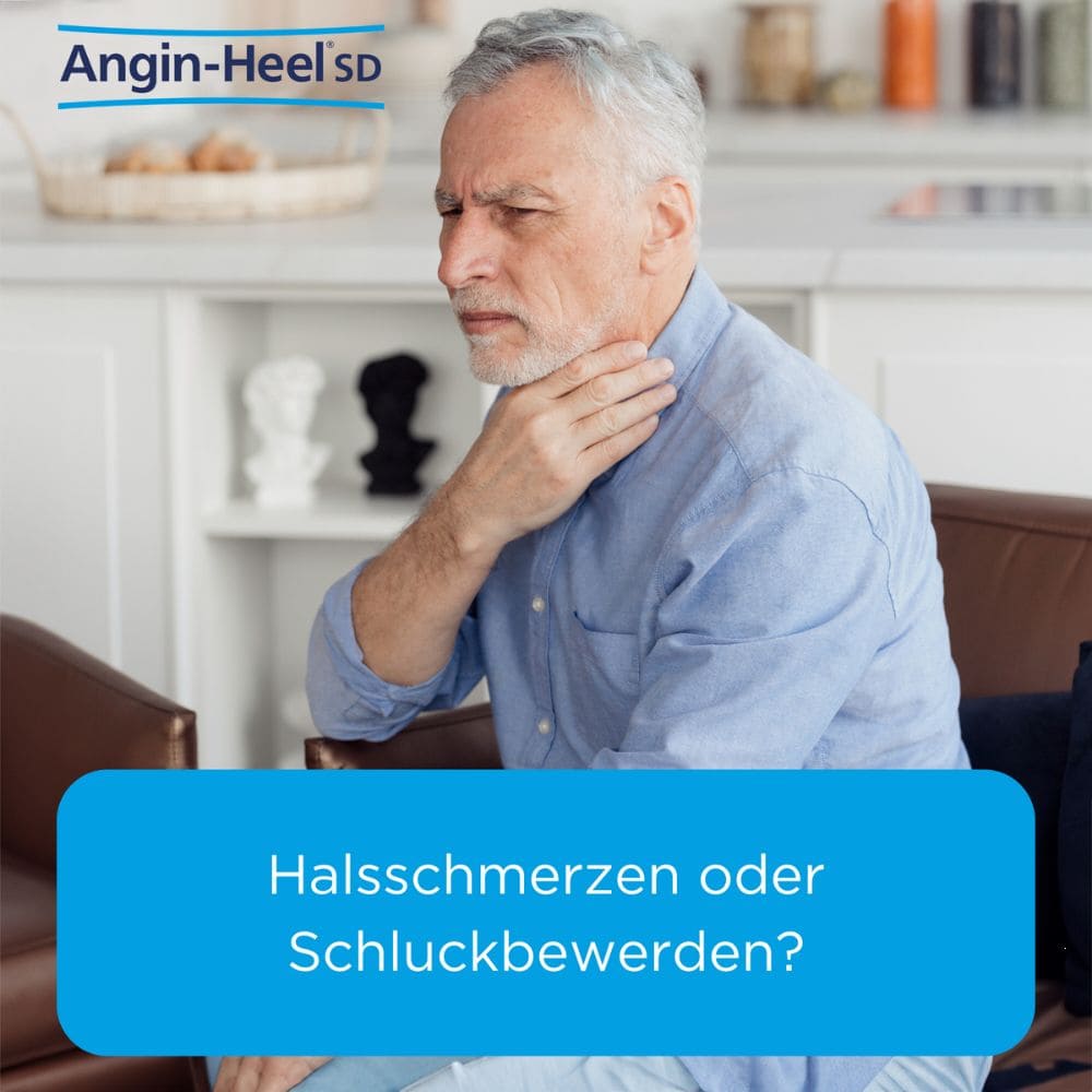 Angin-Heel SD Tabletten 250 St Tabletten
