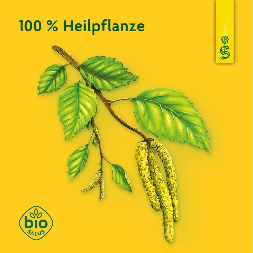 Schoenenberger Naturreiner Heilpflanzensaft Birke 200 ml Saft