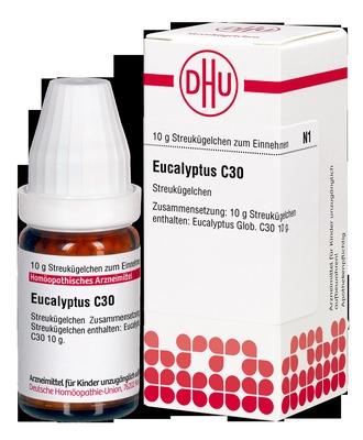 EUCALYPTUS C 30 Globuli 10 g Globuli