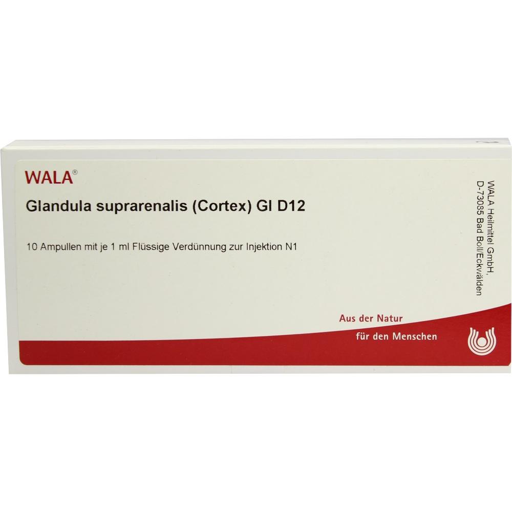 GLANDULA SUPRARENALES cortex GL D 12 Ampullen 10X1 ml Ampullen