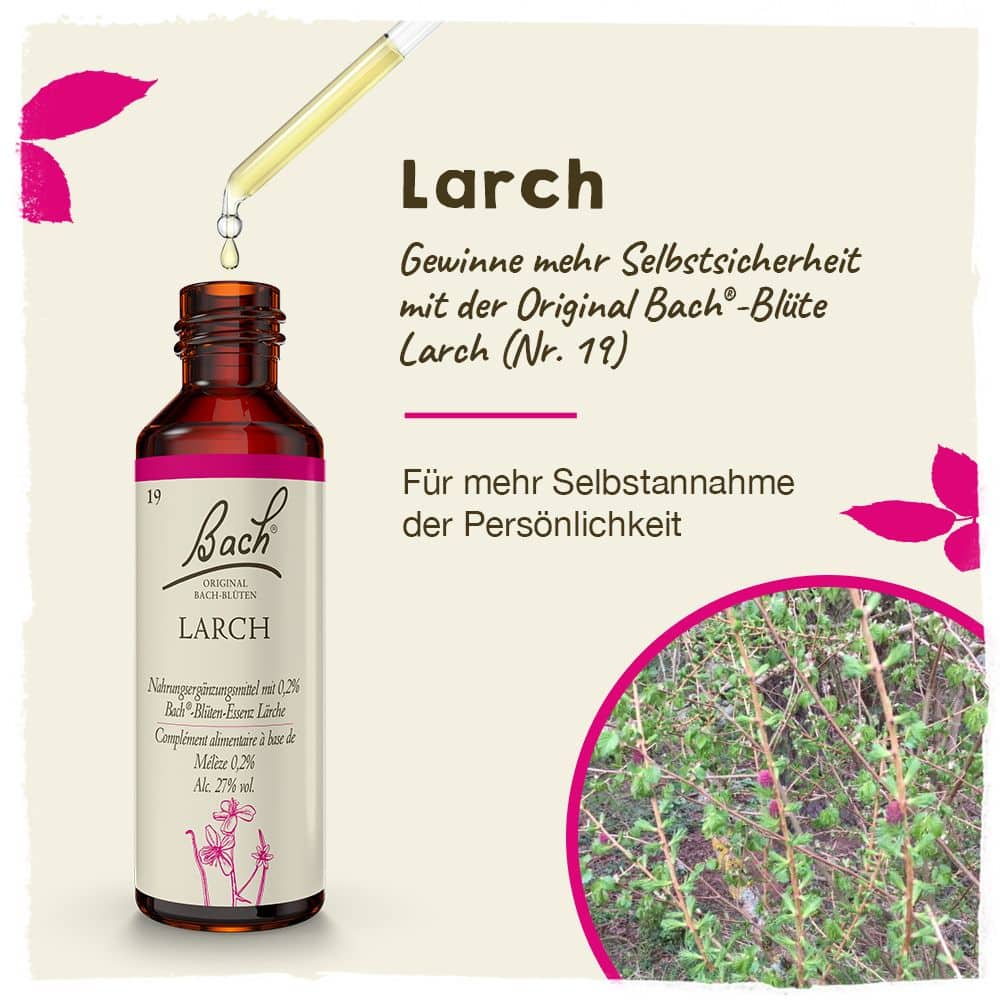 BACHBLÜTEN Original Larch Nr. 19 20 ml Tropfen