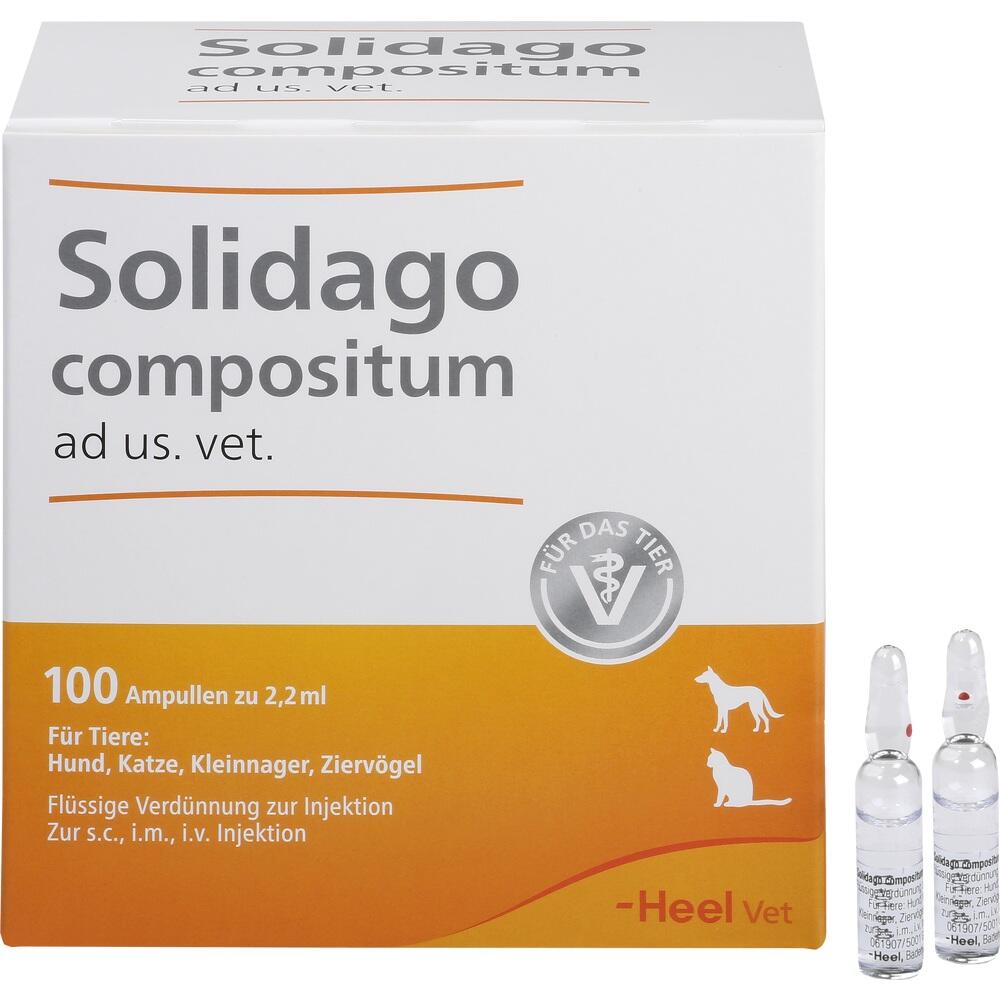 Solidago compositum ad us. vet. Ampullen 100 St Ampullen