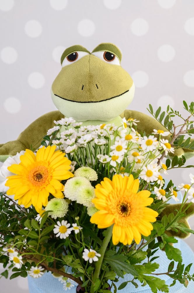 Warmies Frosch II 1 St