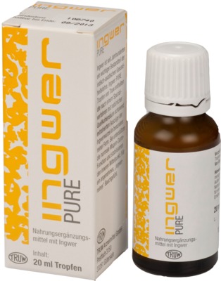 INGWER PURE Tropfen 20 ml Tropfen