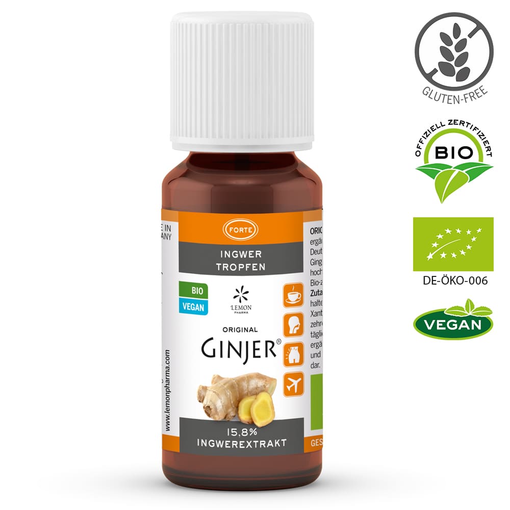 INGWER GINJER forte Tropfen 20 ml Tropfen
