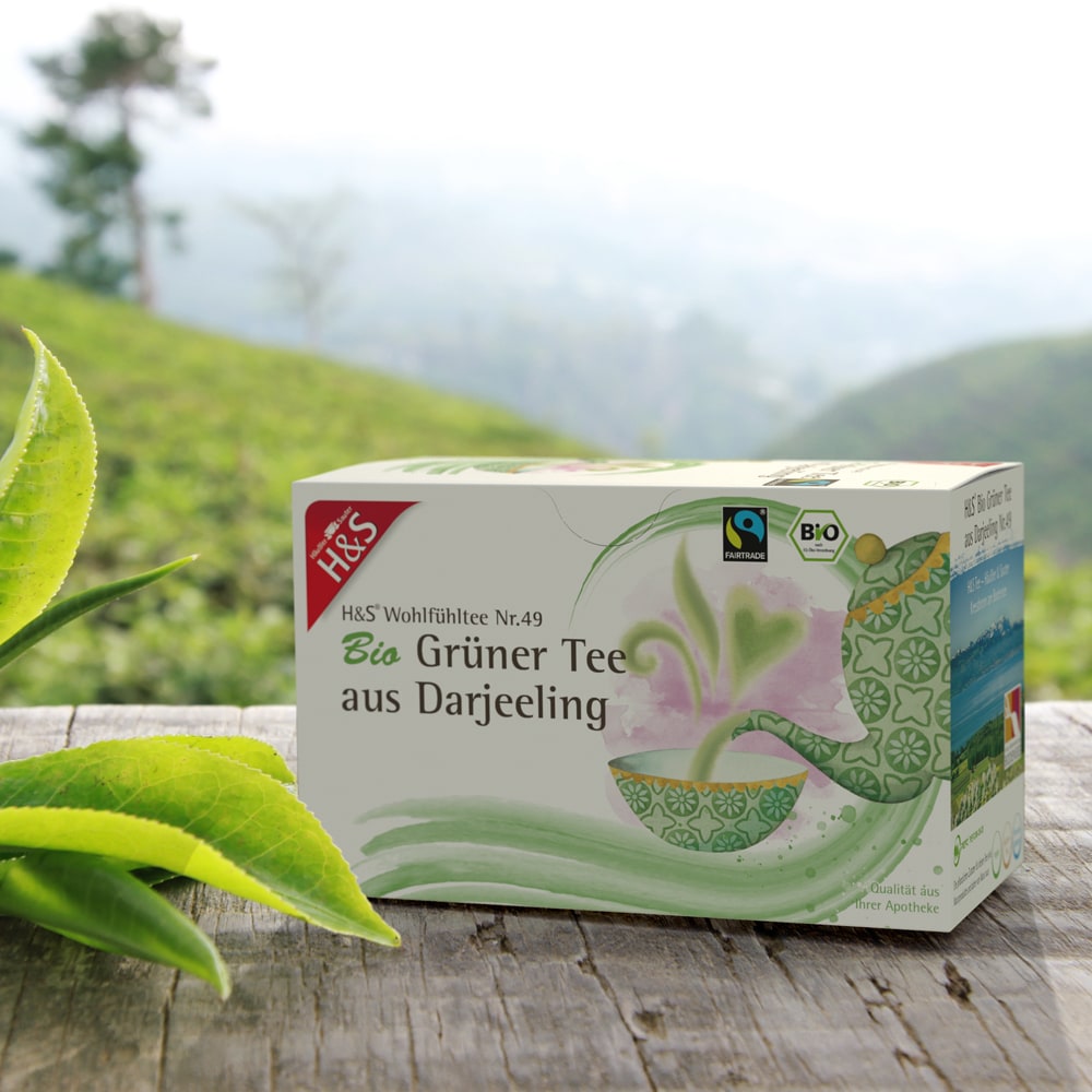 H&S Wohlfühltee Grüner Tee aus Darjeeling 20X2 g Filterbeutel