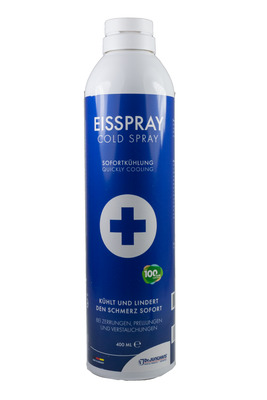 EISSPRAY 400 ml Spray