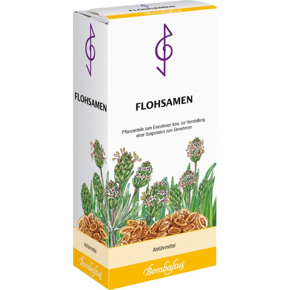 FLOHSAMEN BOMBASTUS 300 g Kerne