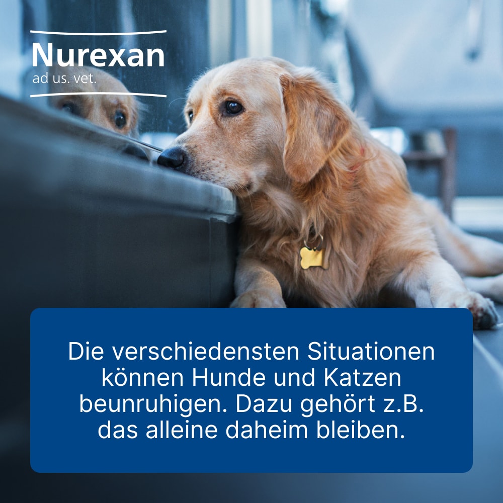 Nurexan ad us. vet. Für Hunde und Katzen 500 St Tabletten