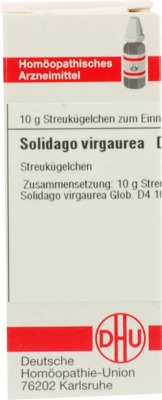 SOLIDAGO VIRGAUREA D 4 Globuli 10 g Globuli