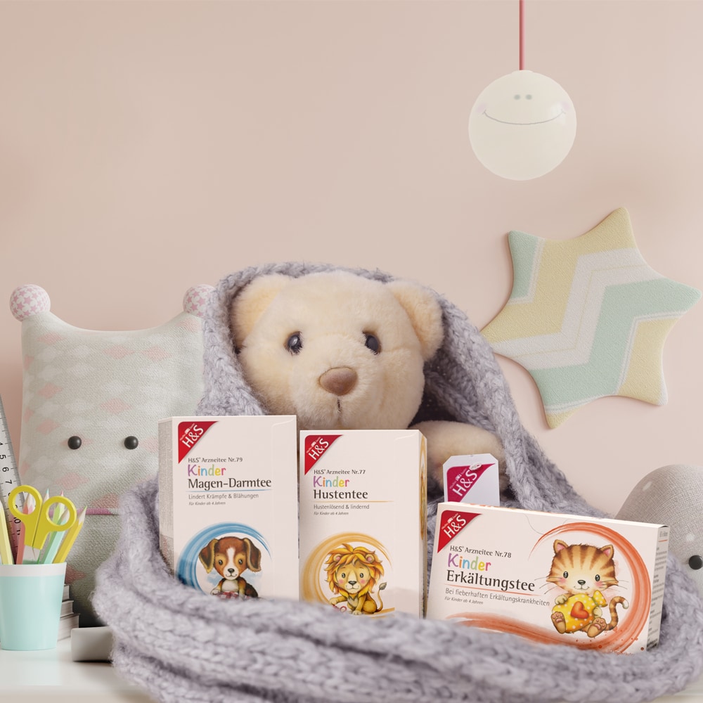 H&S Kinder Erkältungstee 20X1.5 g Filterbeutel