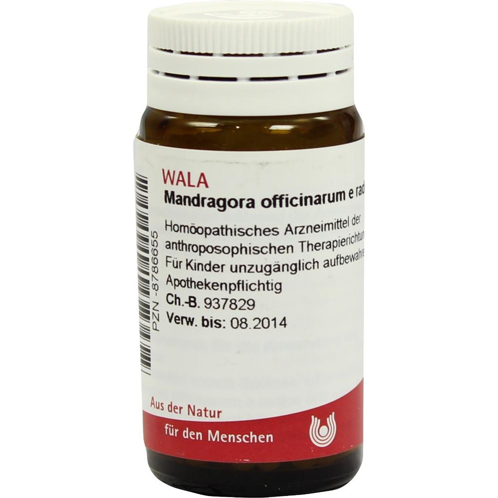 Mandragora officinarium e radice D 4 Globuli 20 g Globuli