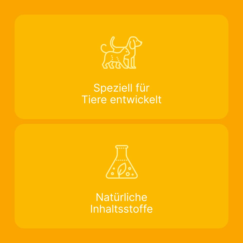 Engystol T ad us. vet. 100 St Tabletten