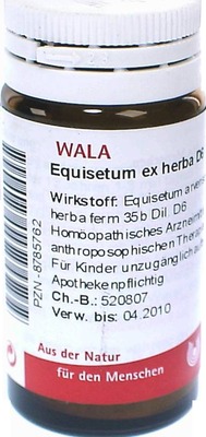 Equisetum ex herba D6 Globuli 20 g Globuli