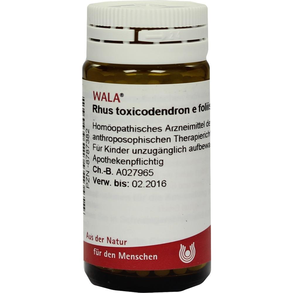 Rhus toxicodendron e foliis D 12 Globuli 20 g Globuli