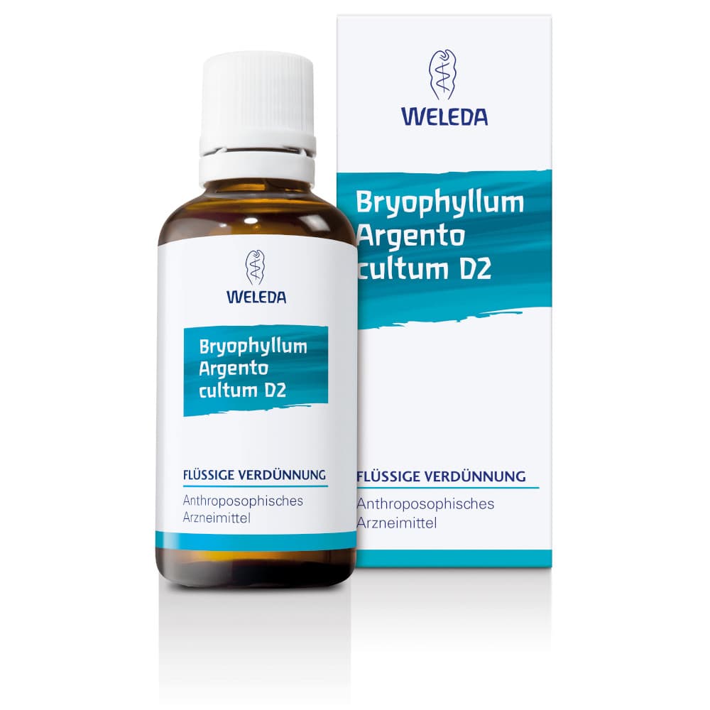 WELEDA BRYOPHYLLUM ARGENTO cultum D 3 Dilution 50 ml Dilution