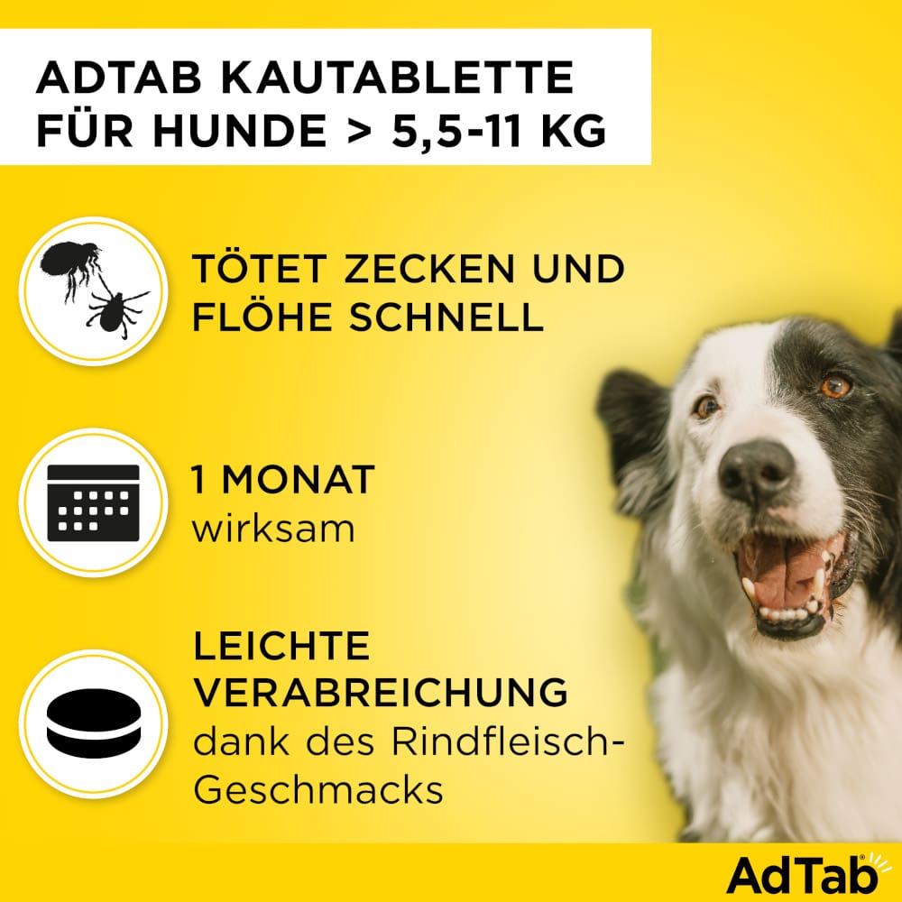 Schnelle Abtötung von Parasiten für die Dauer von einem Monat