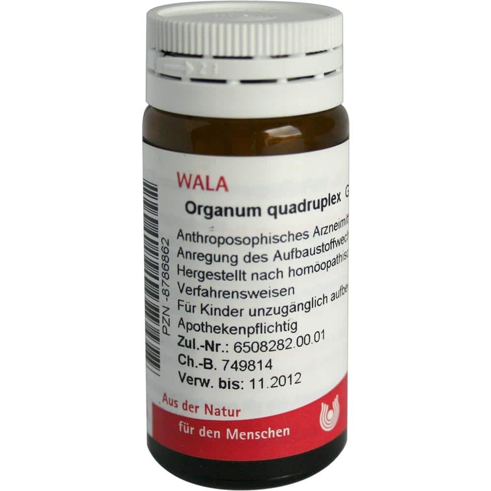Organum quadruplex 20 g Globuli