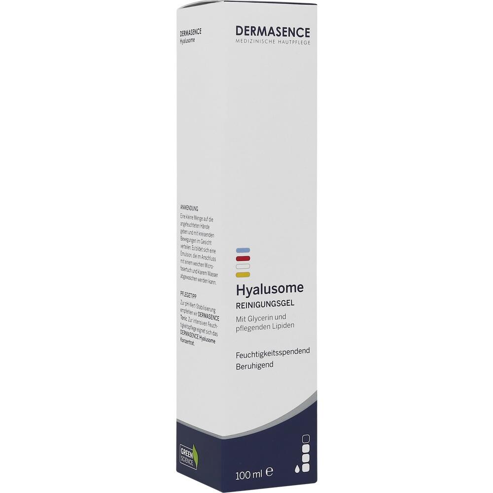 DERMASENCE Hyalusome REINIGUNGSGEL 100 ml Gel