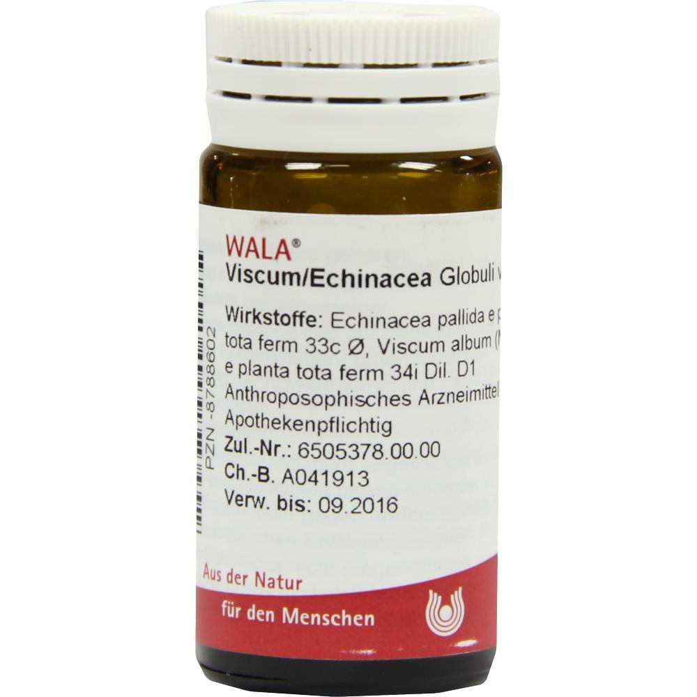 Viscum/Echinacea Globuli 20 g Globuli